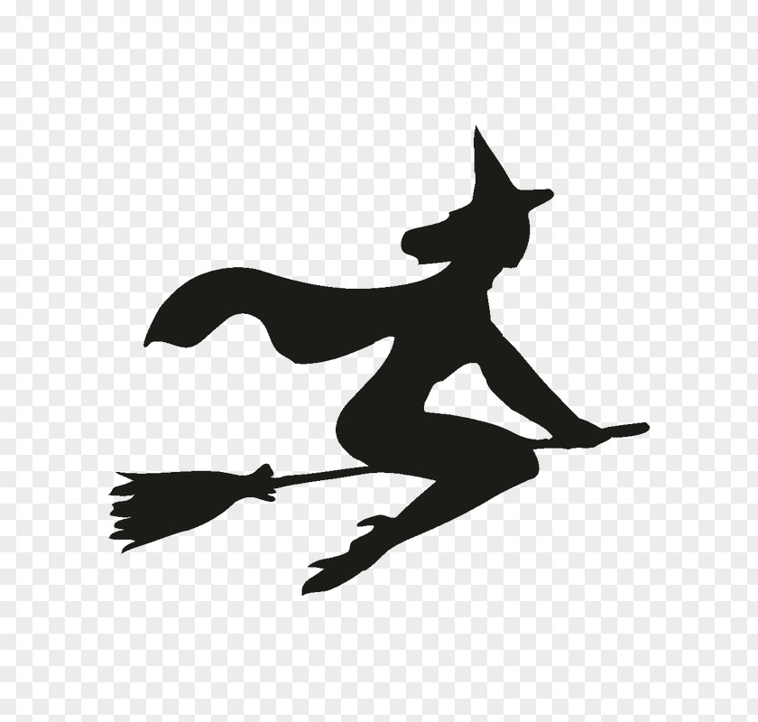 Vector Graphics Witchcraft Image Illustration PNG