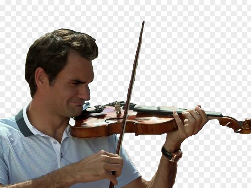 Violin Violone Viola Cello Virtuoso PNG