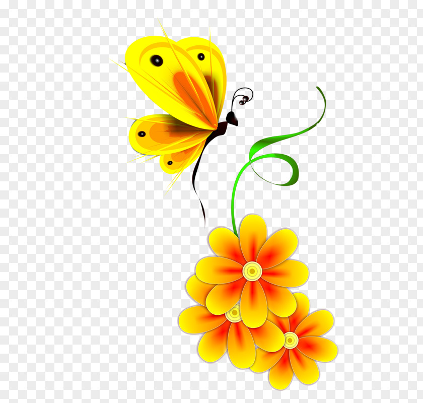 Butterfly Monarch Yellow PNG