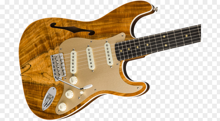 Guitar Fender Stratocaster Telecaster Thinline Custom Shop Musical Instruments Corporation PNG