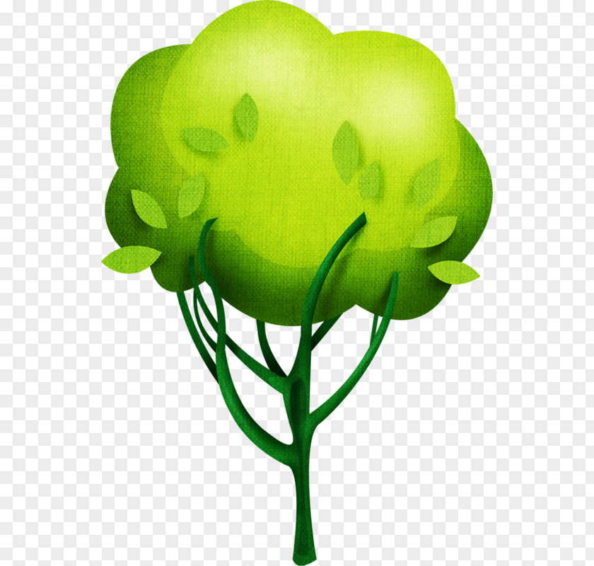 Tree Apple Oak Fruit Clip Art PNG