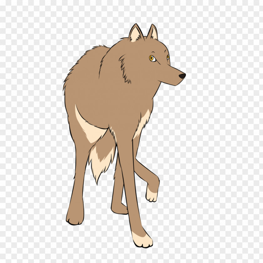 Wolf Avatar Coyote Red Fox Dog Canidae Animal PNG