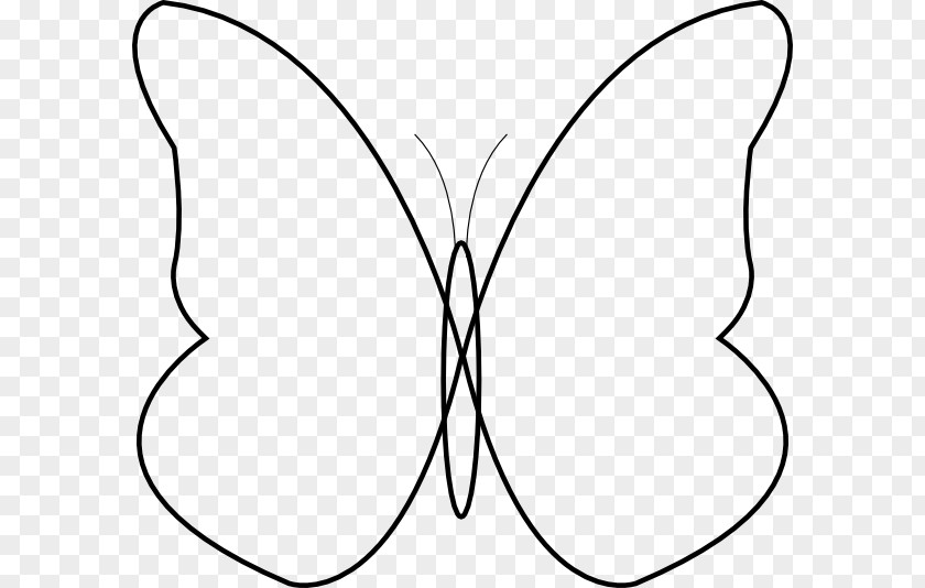 Butterfly Pattern Line Art Drawing Clip PNG