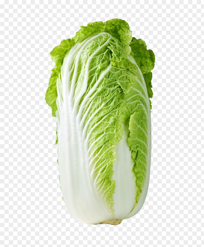HD Clips Cabbage Red Cauliflower Kohlrabi Napa PNG