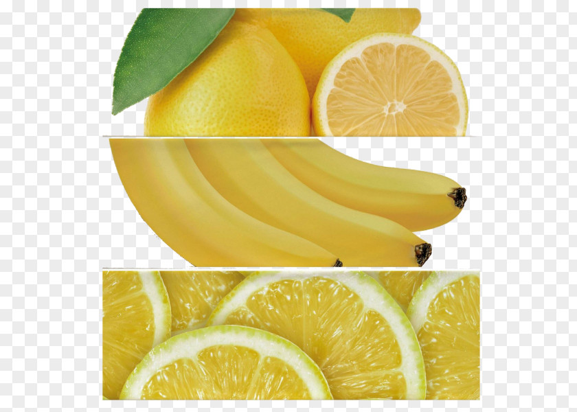 Limon Sweet Lemon Banya Tile Citrus Junos PNG