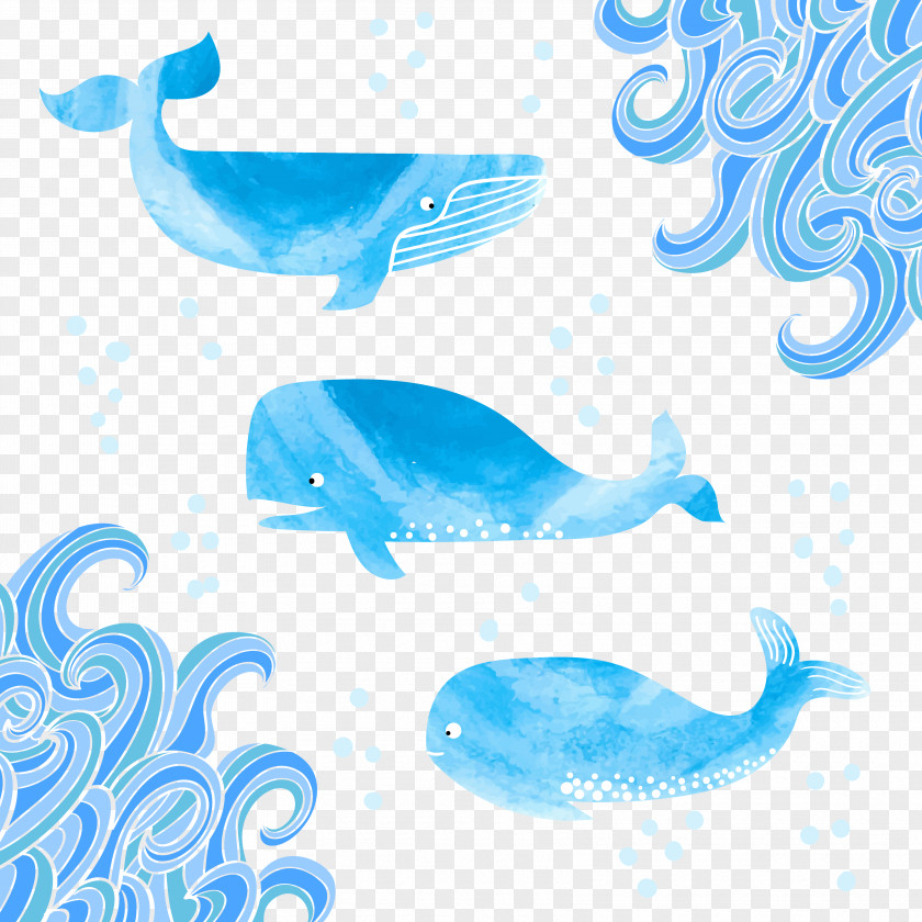 Decorative Blue Whale Marine Mammal Clip Art PNG