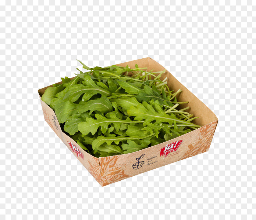 Rucola Spinach Spring Greens Herb Leaf Vegetable PNG