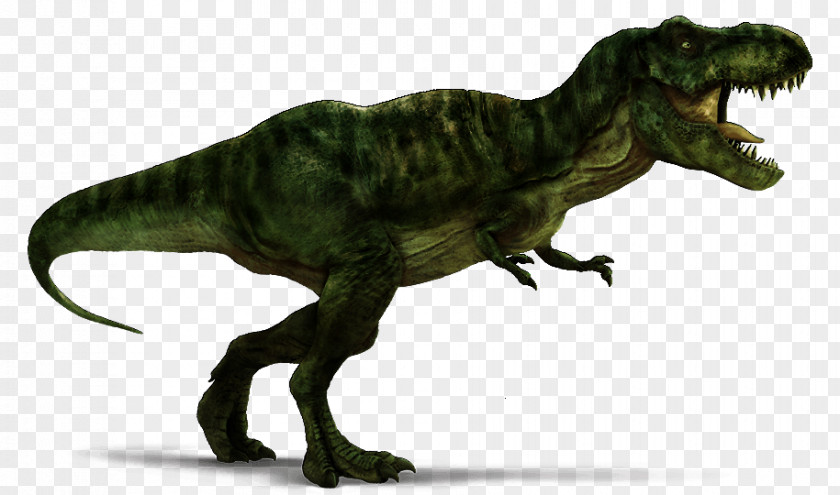 T Rex Velociraptor Spinosaurus Tyrannosaurus Carnotaurus Triceratops PNG