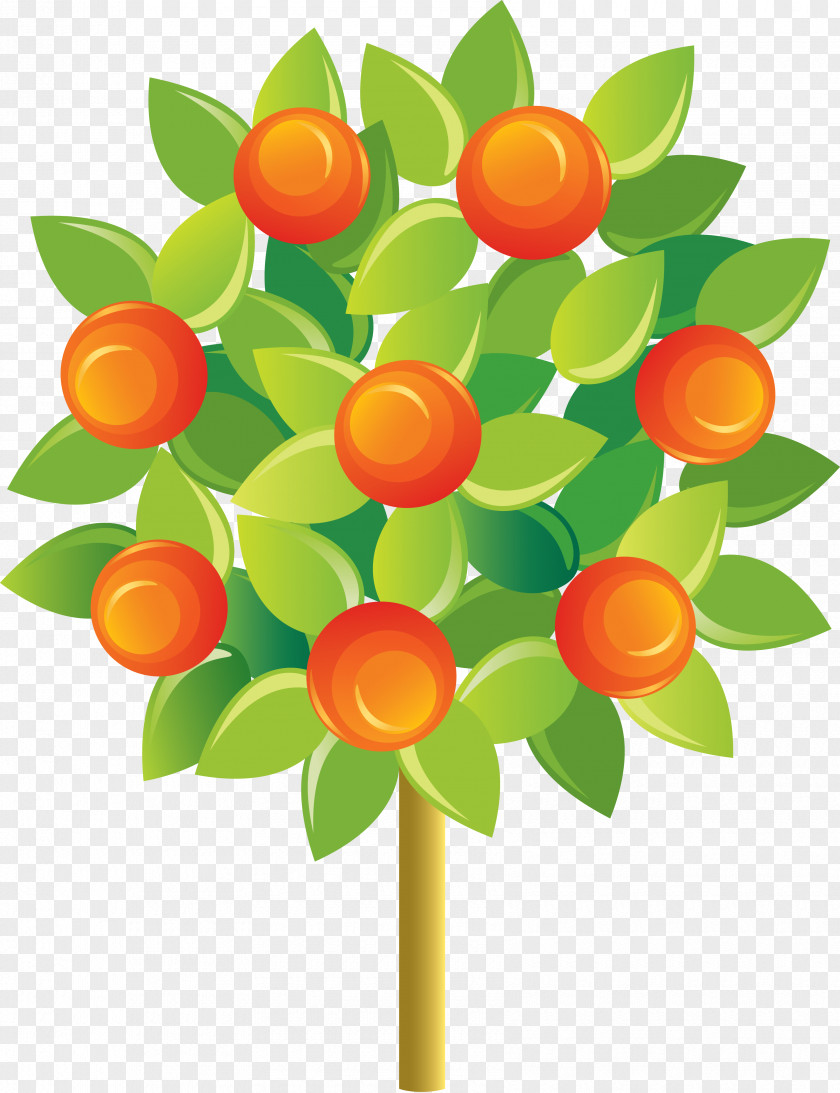 Cartoon Apple Tree Fruit Tangerine Mandarin Orange PNG