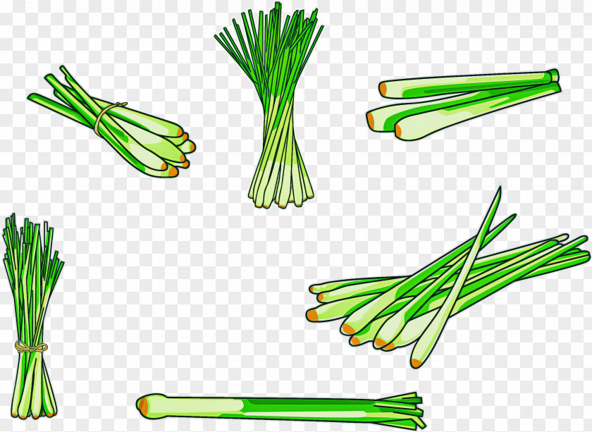 Chives Welsh Onion Vegetable Plant Leek PNG