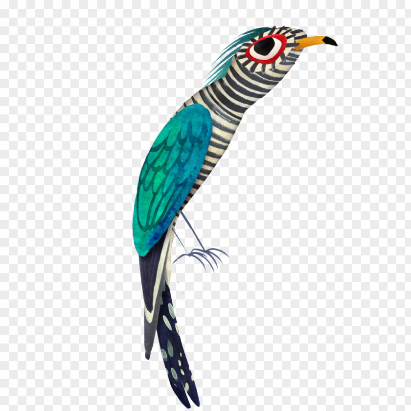 Creative Color Parrot Bird Illustrator Art Illustration PNG