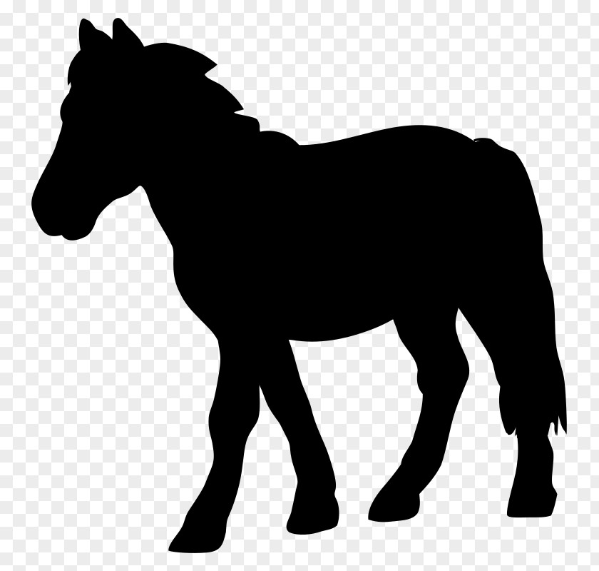 Mustang Mule Vector Graphics Foal Pony PNG