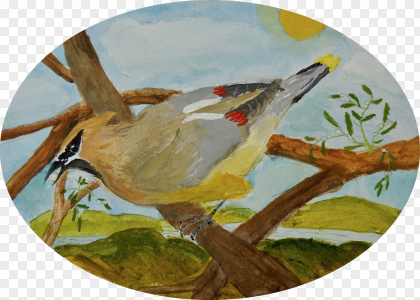 Painting Beak Fauna PNG