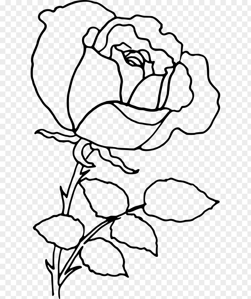 Rose Drawing Clip Art PNG