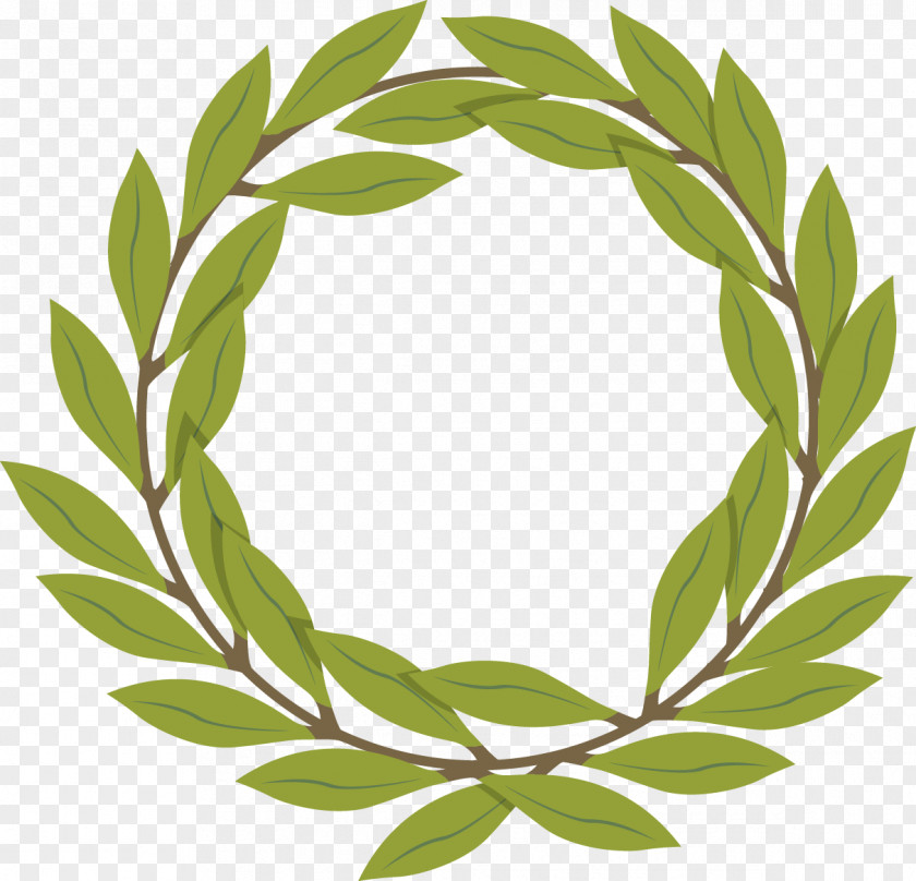 Vector Olive Branch Decoration PNG