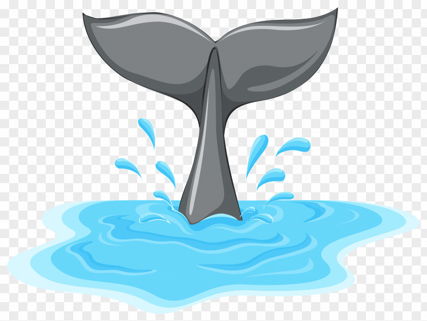 Whale Tail Clip Art PNG