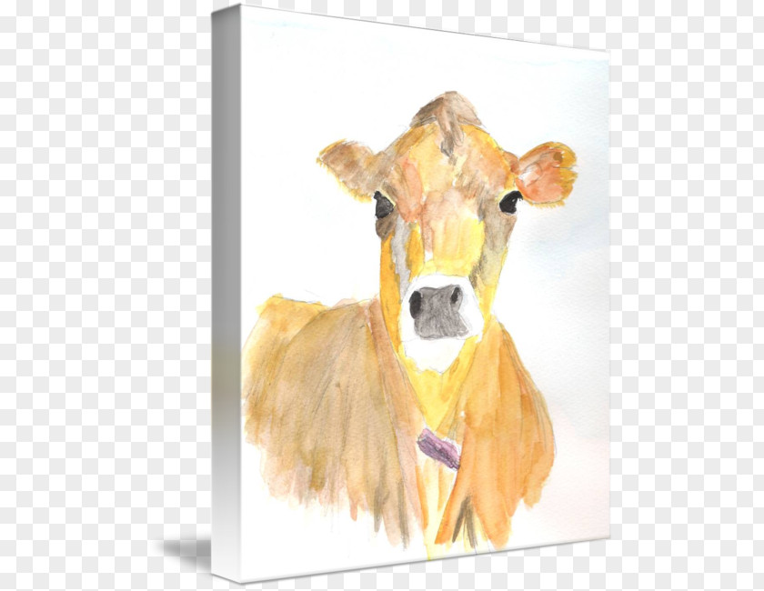 Jersey Cattle Watercolor Painting Snout PNG