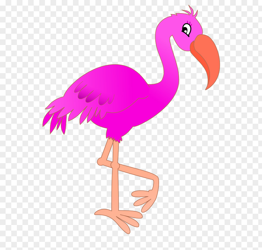 Pink Flamingo Cliparts Cartoon Clip Art PNG