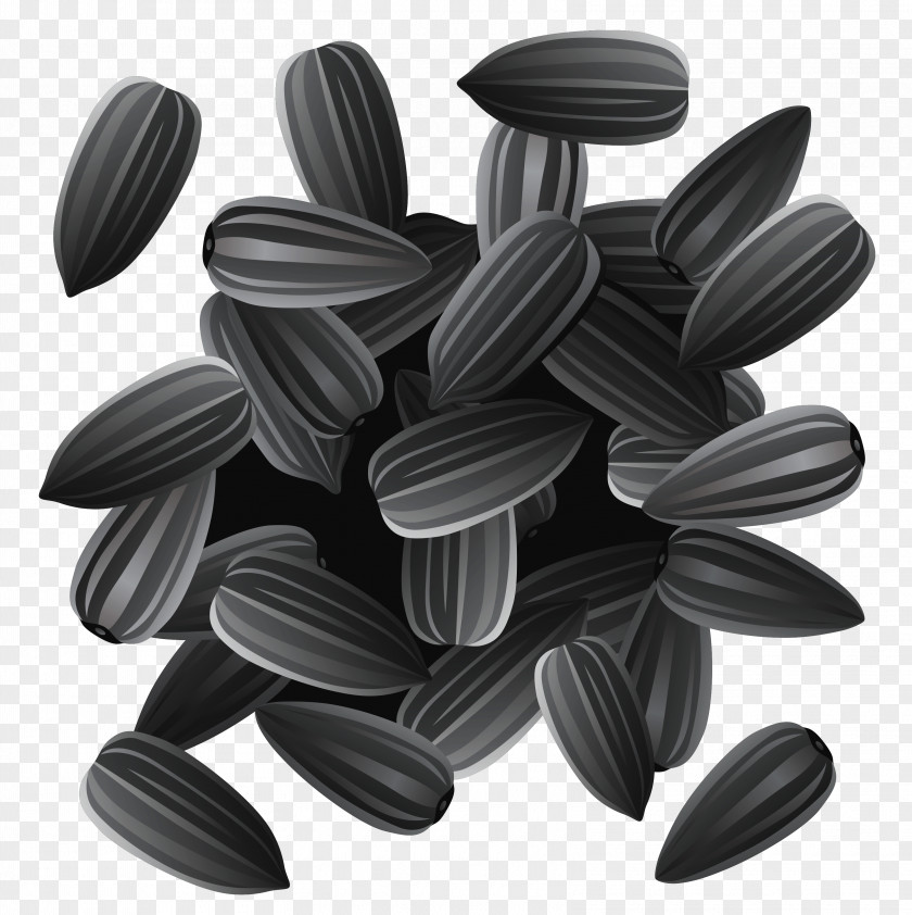 Sunflower Seeds Clipart Image Seed Common Clip Art PNG