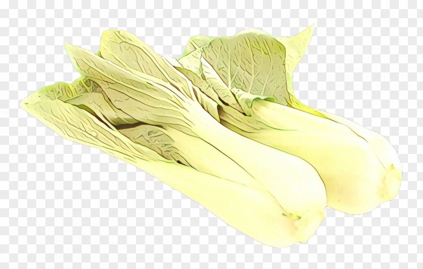 Vegetable Leaf Food Chinese Cabbage Plant PNG