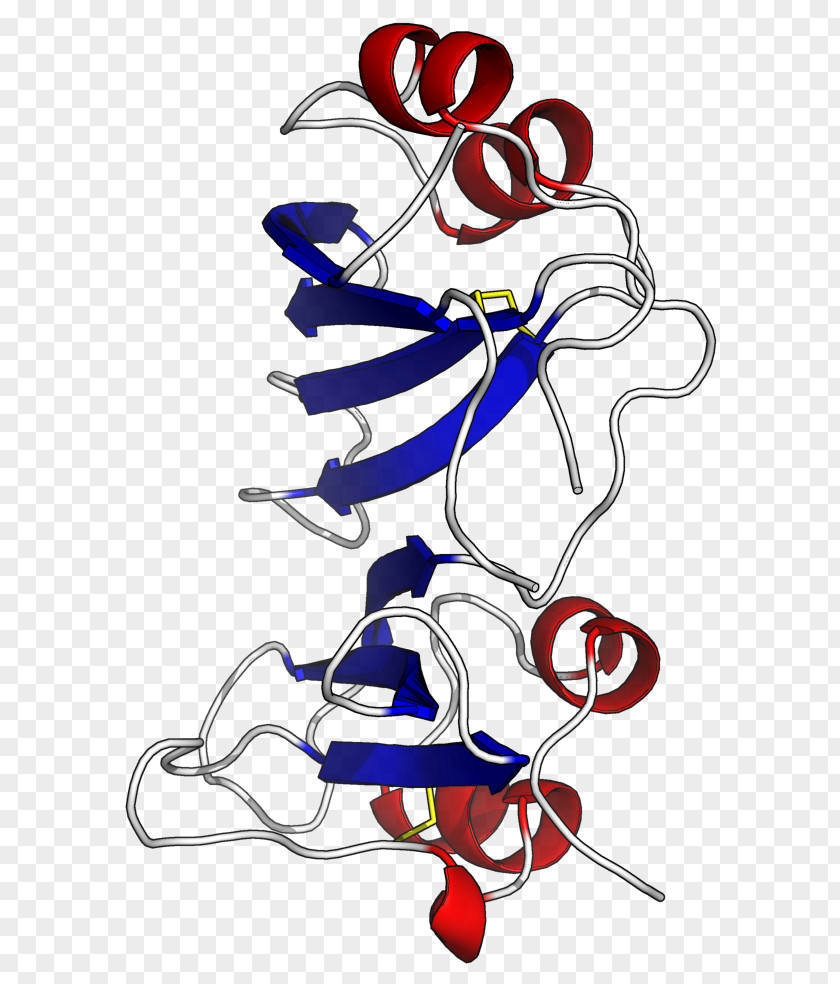 Beta-lactamase Inhibitor Protein β-Lactamase Enzyme PNG