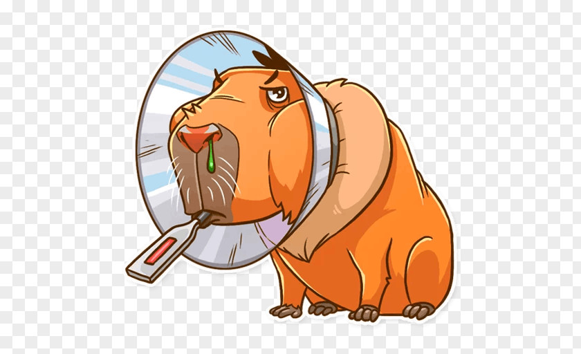 Capybara Telegram Sticker Snout Clip Art PNG
