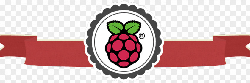 Raspberry Pi Cupcake Edible Ink Printing Secure Digital PNG