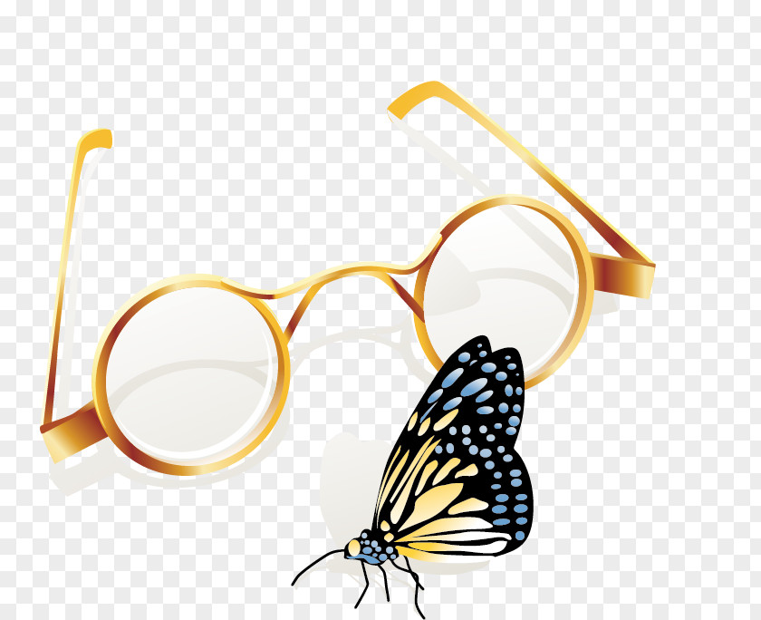 Vector Glasses Illustration PNG