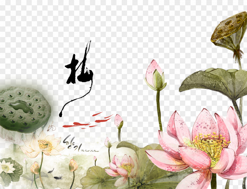 Hand-painted Lotus Background Ink Wash Painting Chinese Gongbi Nelumbo Nucifera PNG