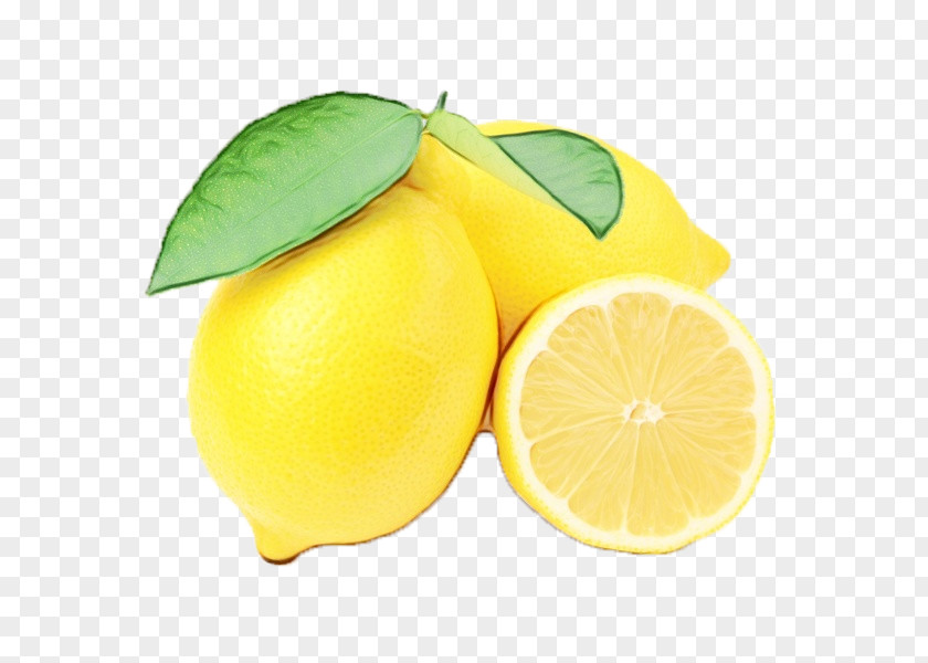 Lemonlime Citric Acid Lemon Citrus Fruit Yellow Food PNG