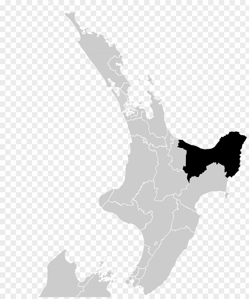 Map Vector Auckland Gisborne PNG