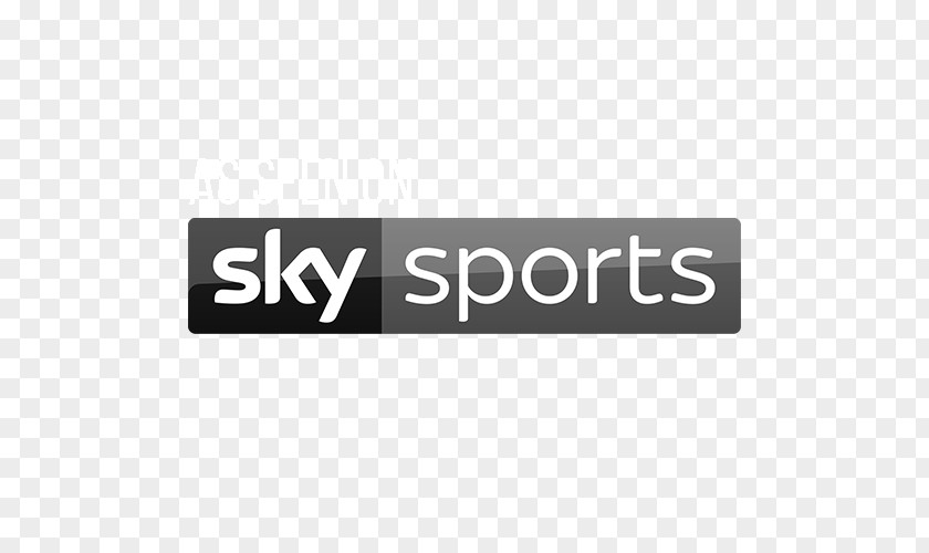 Sky Sports F1 Television Plc PNG