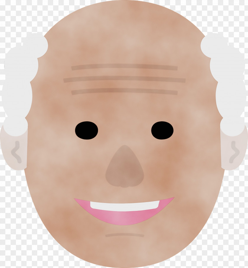 Snout Face Lips Forehead Meter PNG