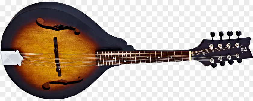 Amancio Ortega Twelve-string Guitar Electric Mandolin Musical Instruments PNG