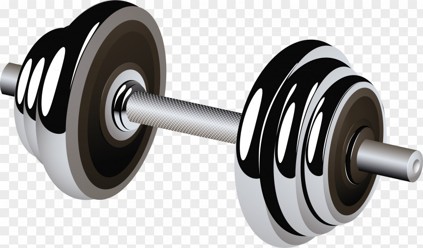 Barbell Weight Training Dumbbell Physical Fitness PNG