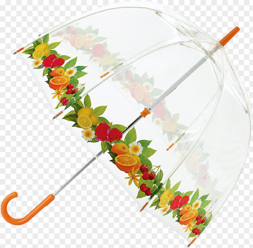 Birdcage Umbrella Dome Rain Ta Polyvore PNG