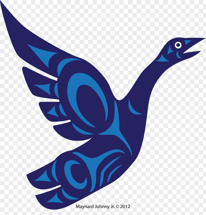 Goose Bird Duck Color PNG
