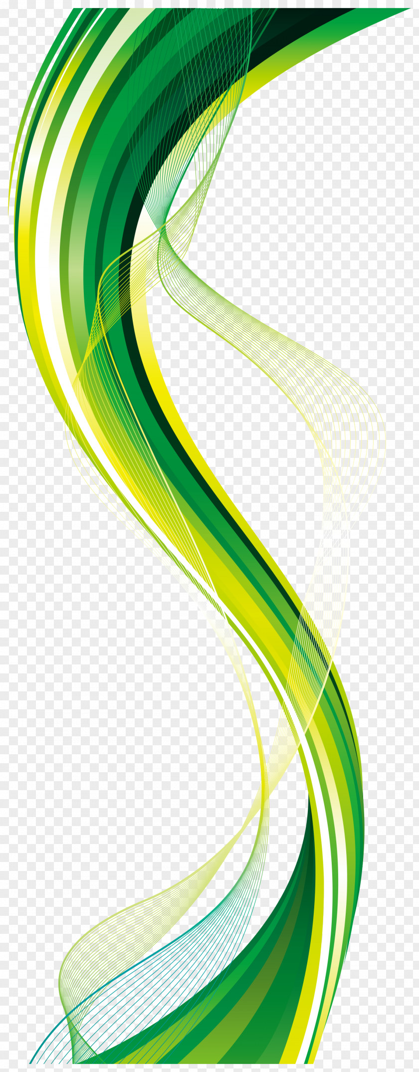 Grass Green Colorful Silk Background Vector Euclidean Clip Art PNG