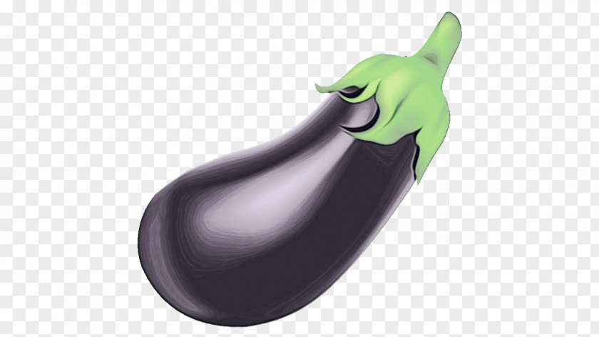 Plant Eggplant Watercolor PNG