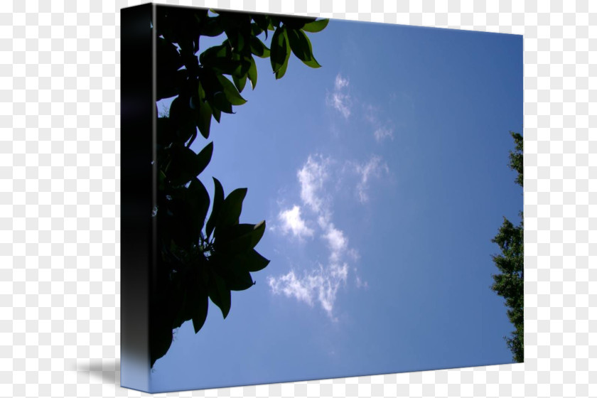 War Sky Picture Frames Sunlight Branching Plc PNG