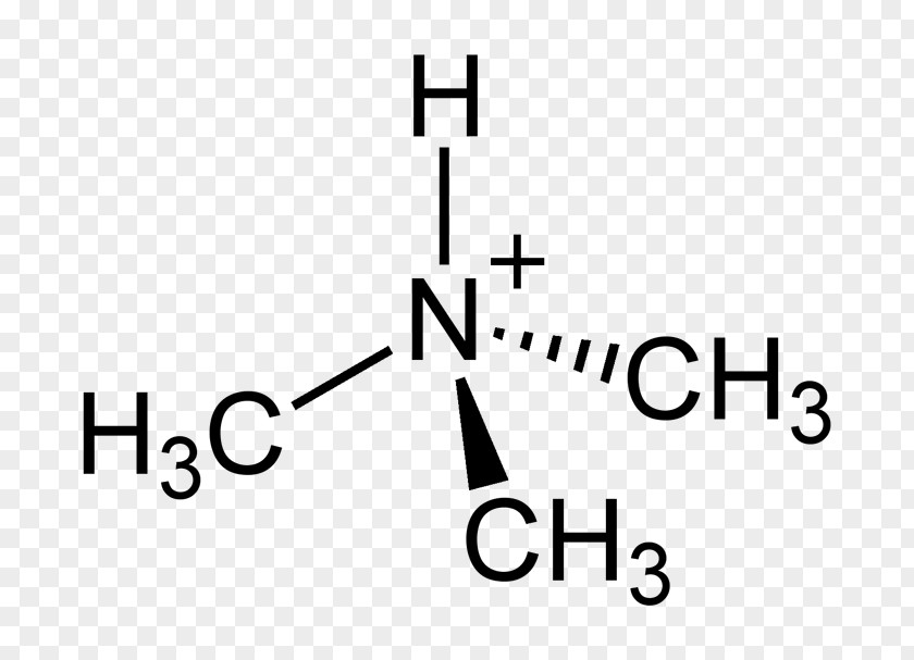 Acetone Trimethylamine Tetramethylammonium Hydroxide Quaternary Ammonium Cation PNG