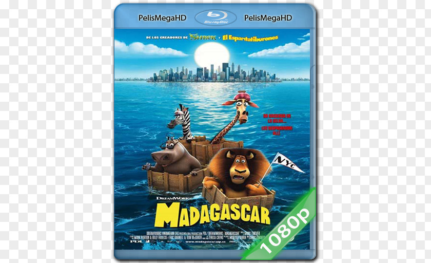 Ben Stiller Marty Melman Alex Madagascar Film PNG
