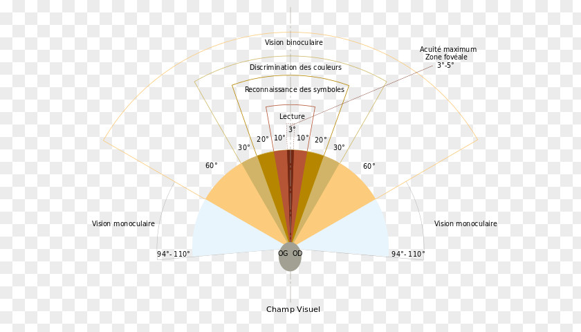 Creative Human Eye Field Of View Visual Peripheral Vision Perception Binocular PNG