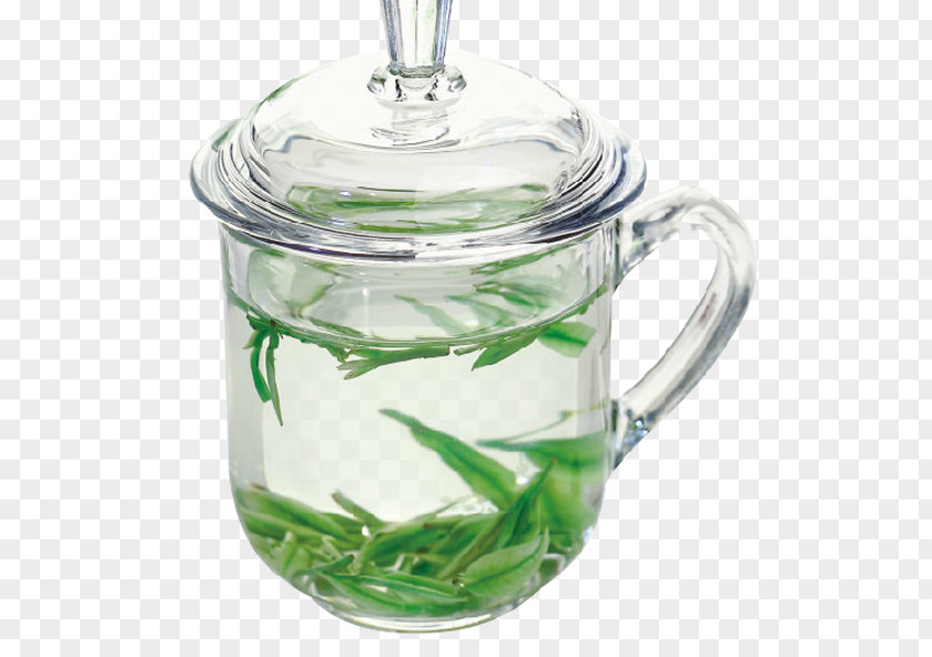 Cup Of Tea Coffee Glass PNG