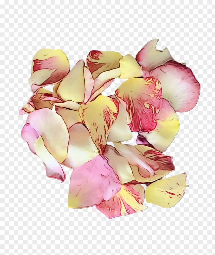 Garden Roses PNG