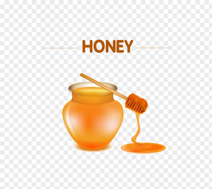 Honey Bee Illustration PNG