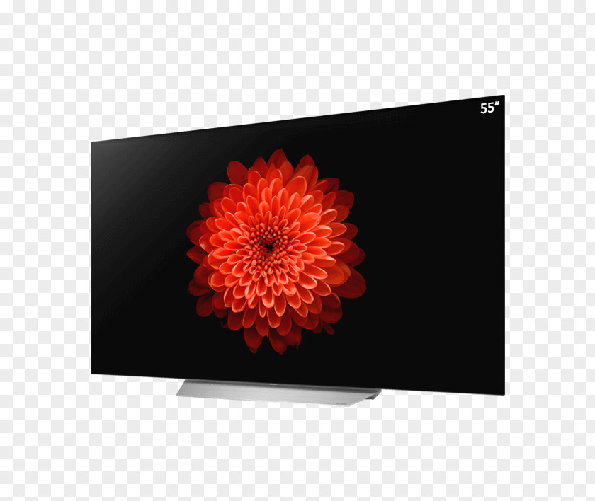 Lg LG 4K Resolution OLED High-definition Television PNG