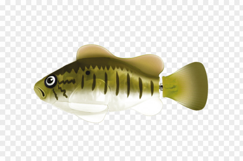 Online Store For Children's Toys Game Fish AquariumToy ToyWay PNG