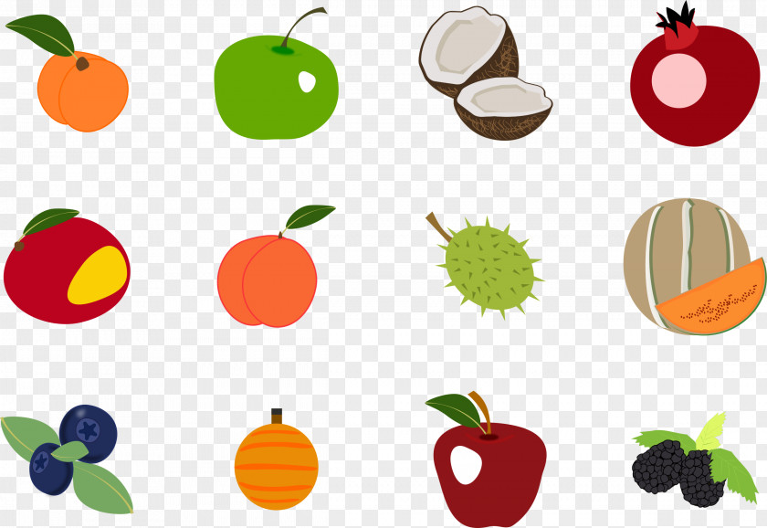 Pomegranate Fruit Clip Art PNG