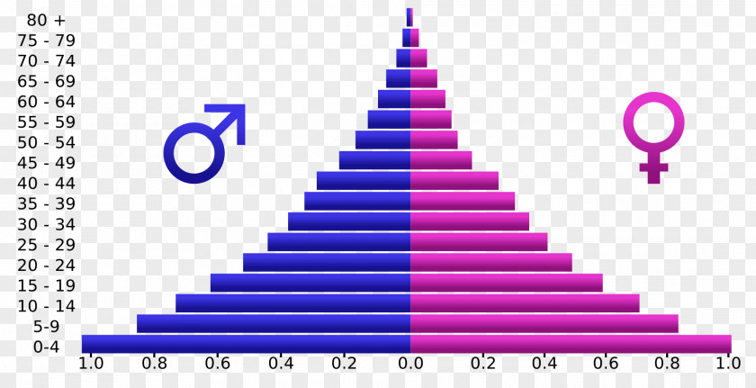 Pyramid Population Demographic Transition Age Structure Demography PNG